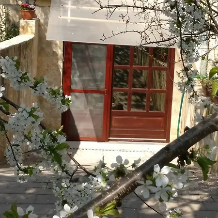 Cseresznyes Apartman Daire *